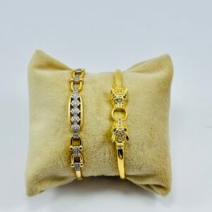 اساور الاناقة